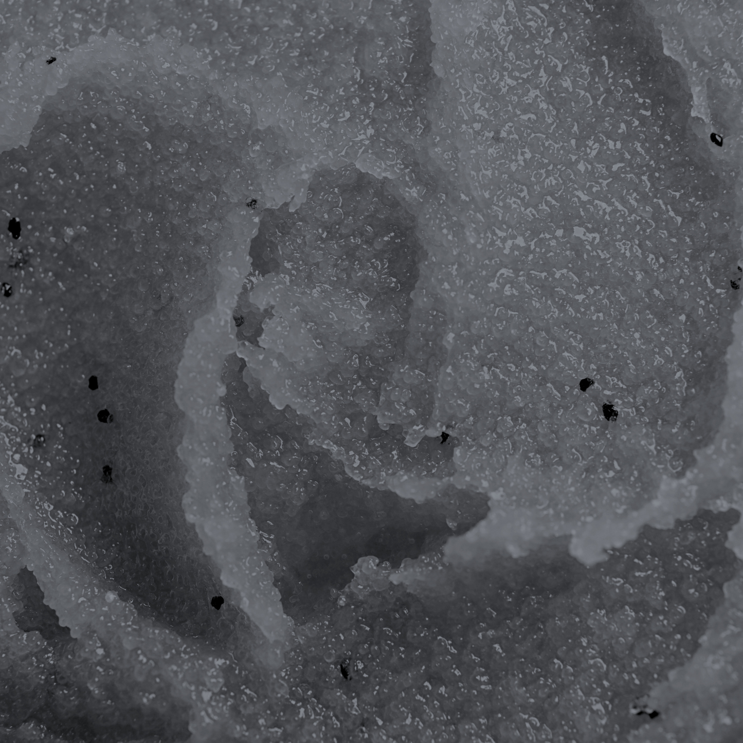 Onyx Foaming Sugar Scrub