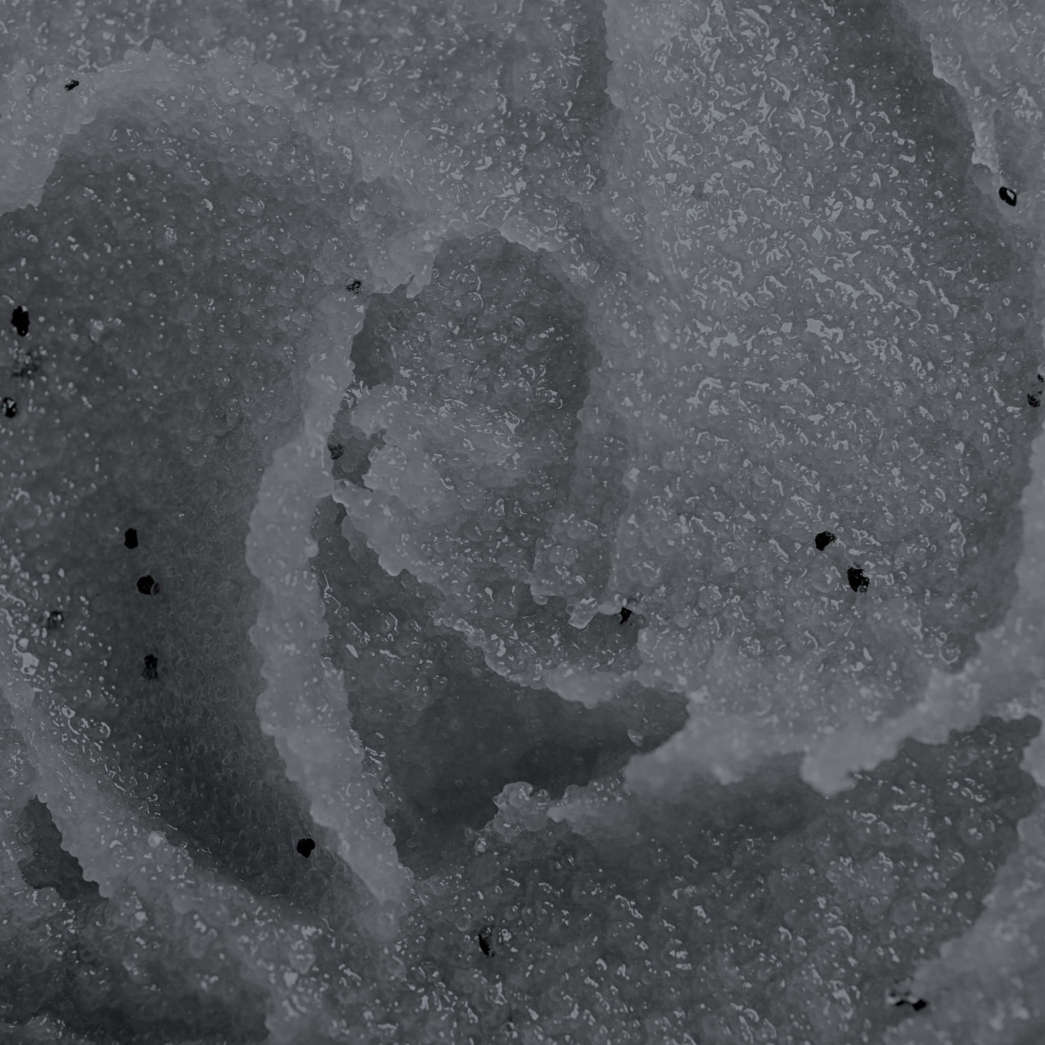 Onyx Foaming Sugar Scrub