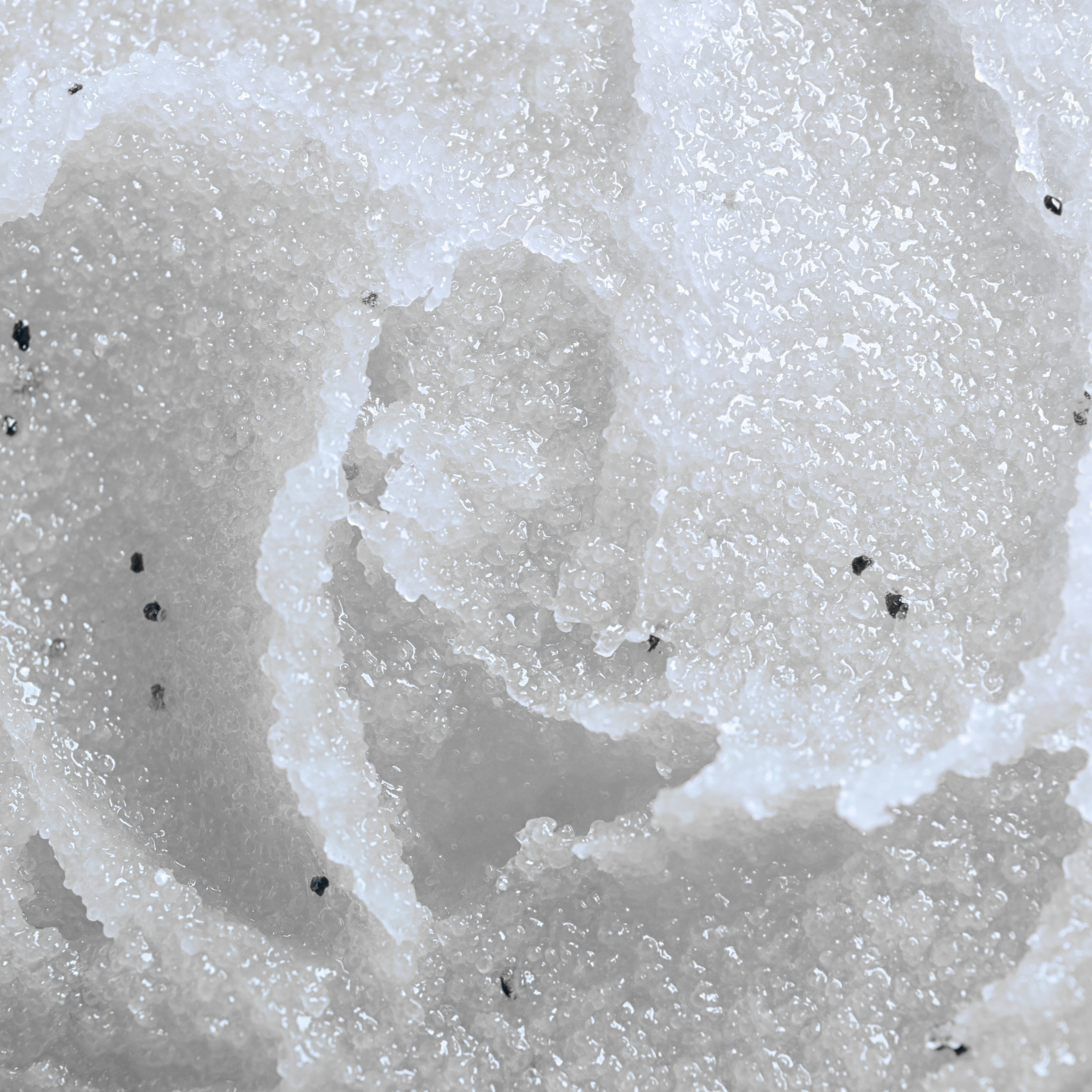 Opal Foaming Sugar Scrub