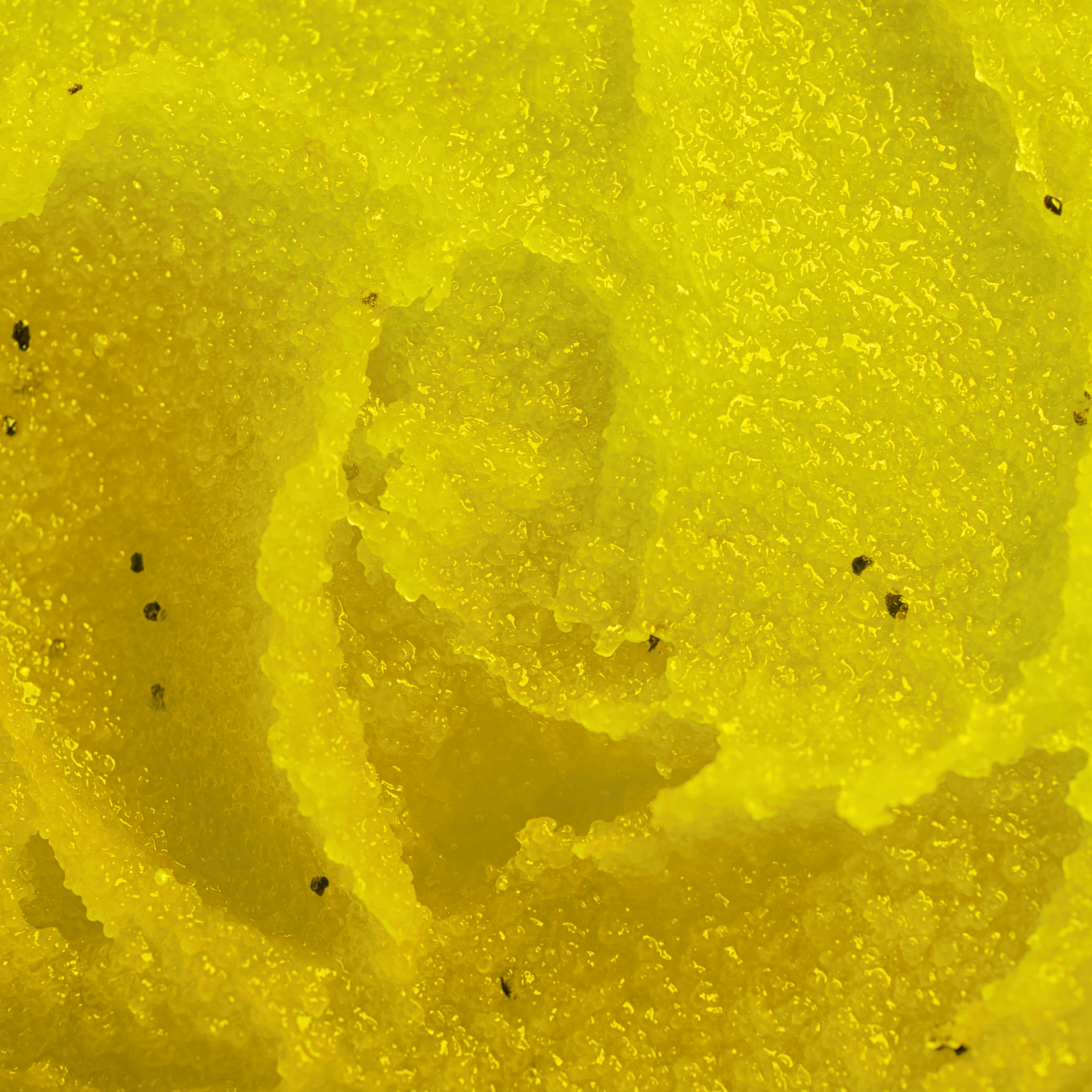 Citrine Foaming Sugar Scrub